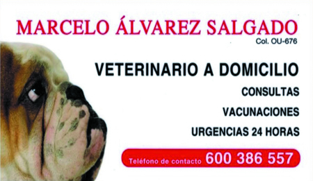 Veterinario a domicilio Manuel Álvarez Salgado